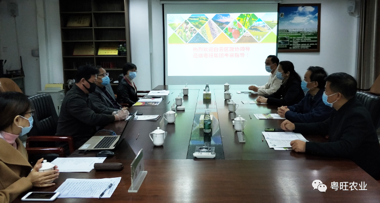 白云区政协赴粤旺集团考察调研