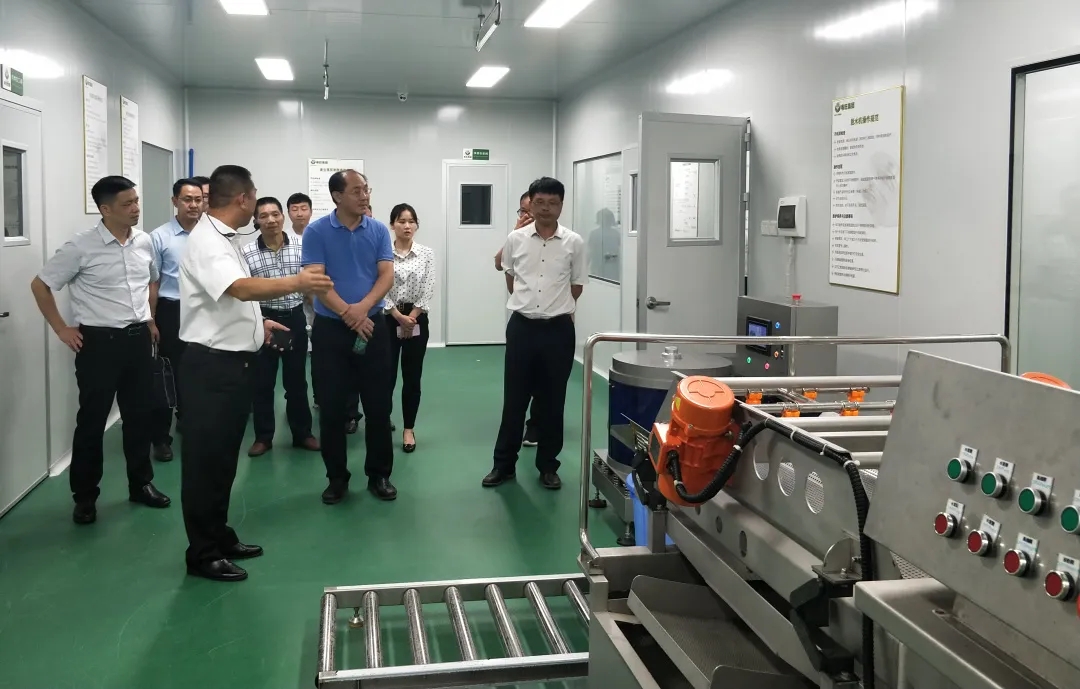 怀集县县长陈树源一行考察粤旺集团