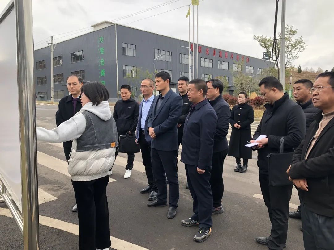 昭通市副市长李来幸一行调研云南粤旺农业科技发展有限公司