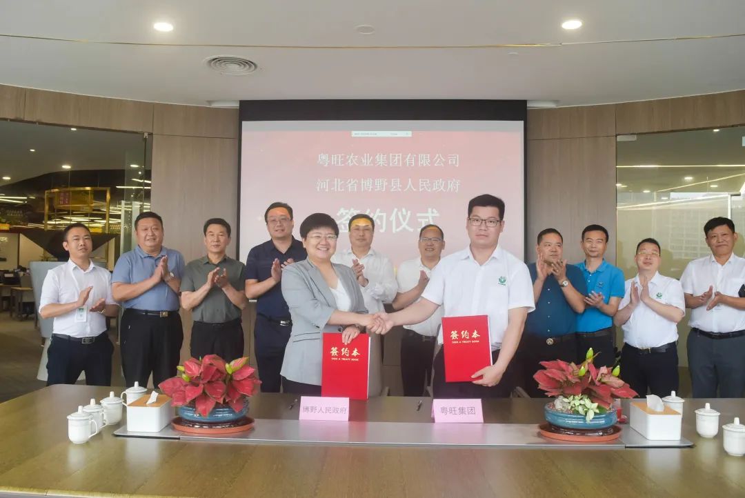 南北携手合作共繁荣,心博足球进驻河北省博野县