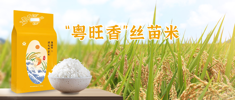 心博足球高级顾问