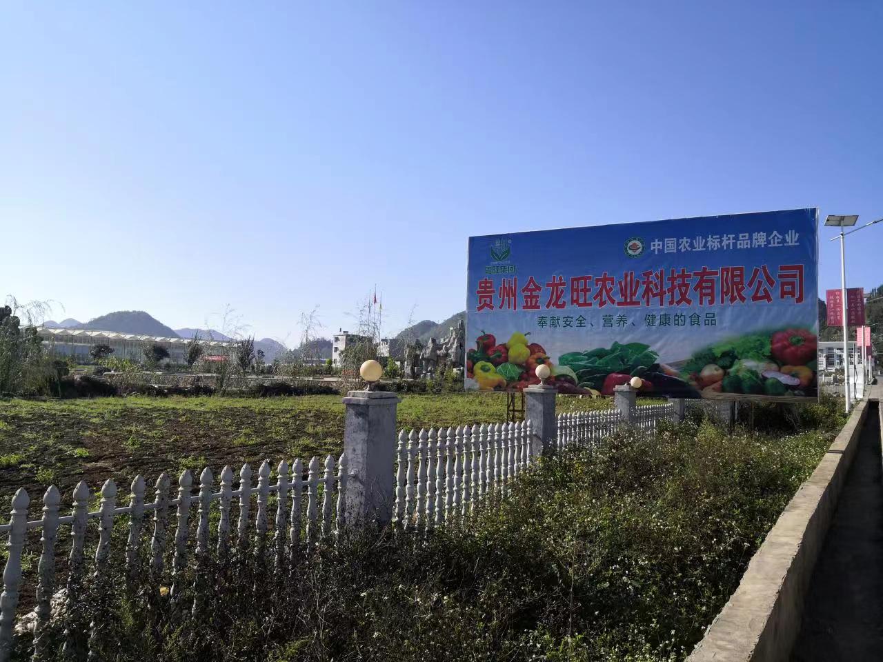 贵州金龙旺科技有限公司荣获贵州省蔬菜产业先进集体