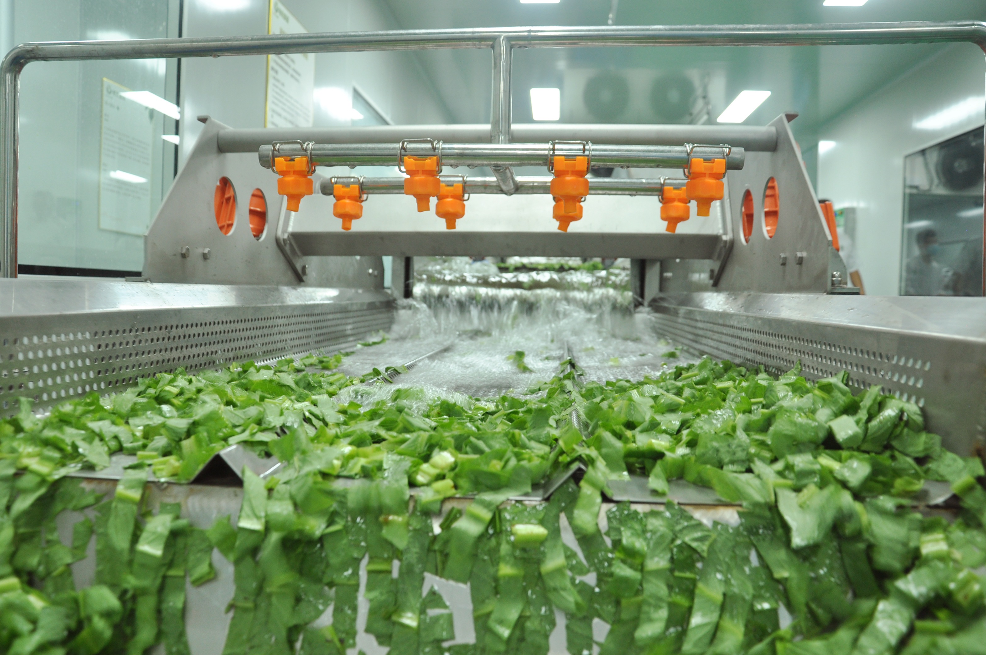 粤旺:做好预制菜产业的链主