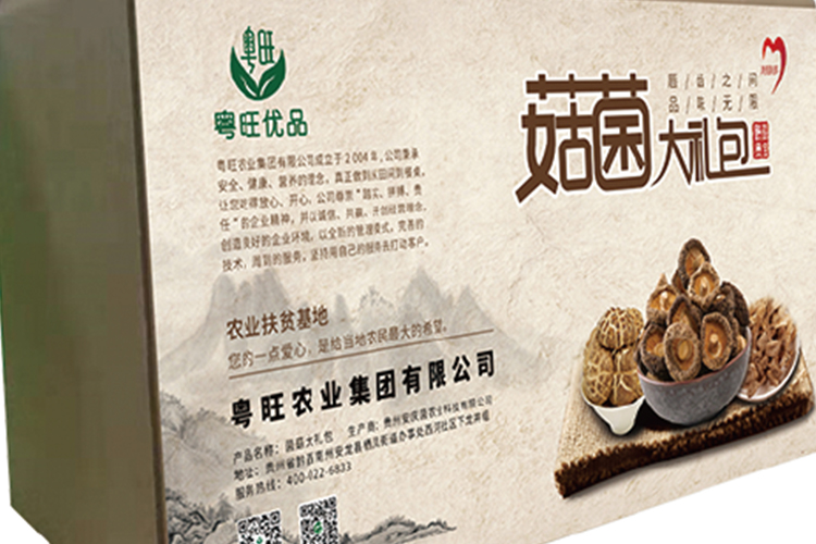 菇菌大礼包