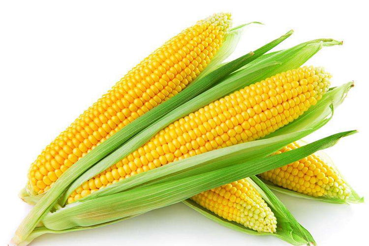 甜玉米