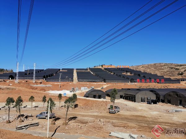 鲁甸卯家湾搬迁群众的致富路