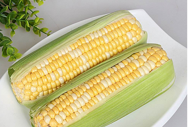 金银玉米