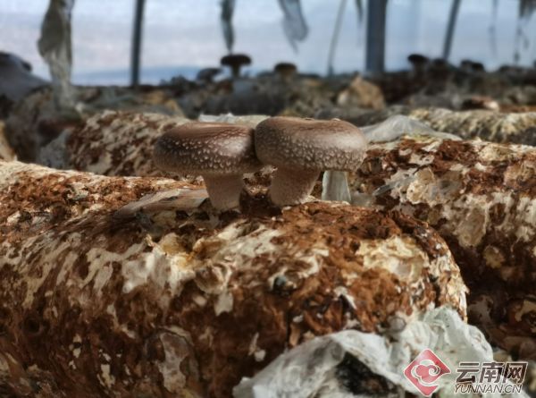 贵州引进8个对口帮扶城市投资资金1300多亿元