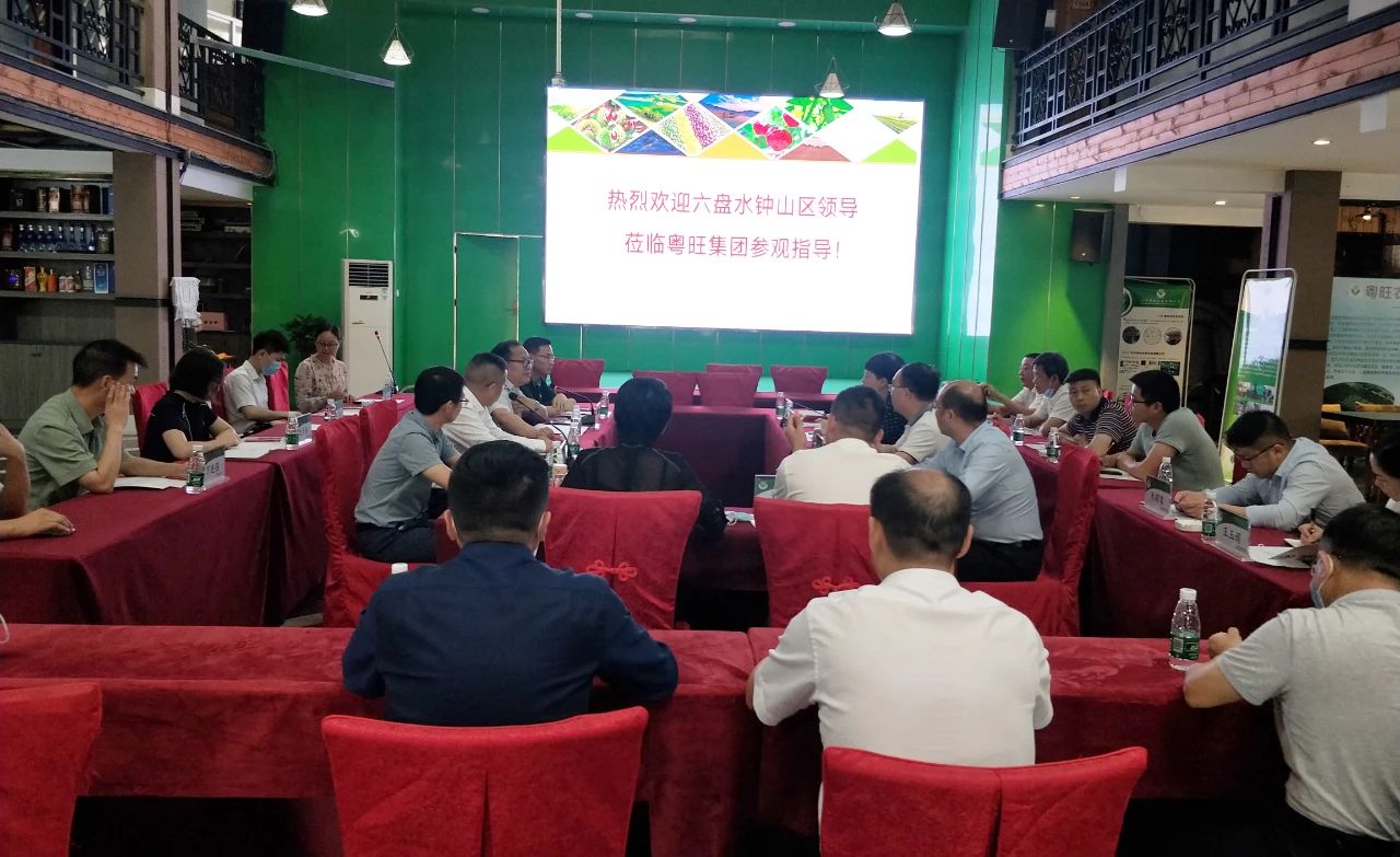 六盘水钟山区领导考察粤旺集团,双方将共建大型蔬菜种植基地