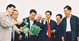 全国人大委员长张德江、副总理回良玉等考察绿田基地